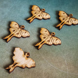 Wooden Moth Pendants | Set of 5
